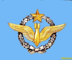 Originalny odznak - French Air Force Bomber Wings .